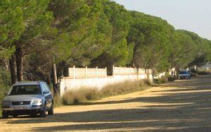 cruising chiclana|Cruising en Chiclana Parck, Chiclana de la Frontera (Cádiz)